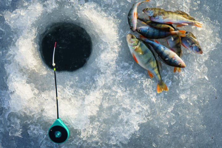 Experience the Thrill of Live Ice Fishing at UK's Premier Virtual Casino